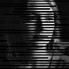 Lux, Darkwave.FM host